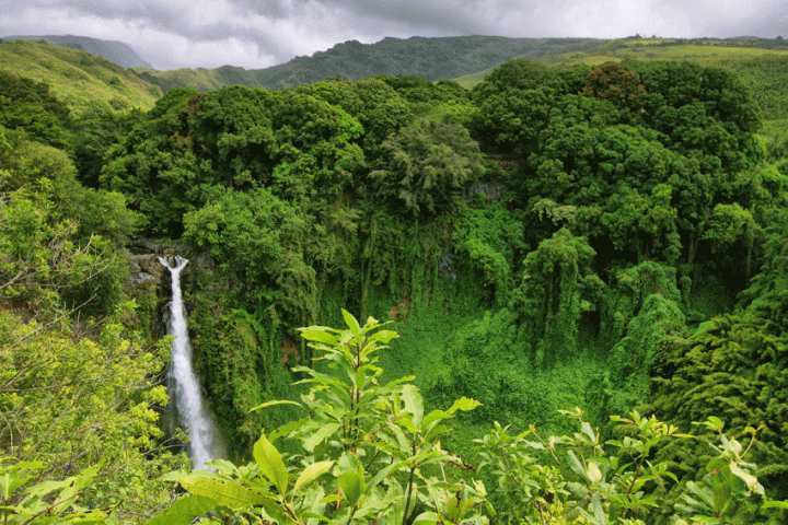 Green-Cultural-Travel-Cambodia-Mondulkiri-Waterfall