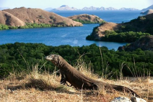 Indonesian Adventurous Experience 16 Days 15 Nights