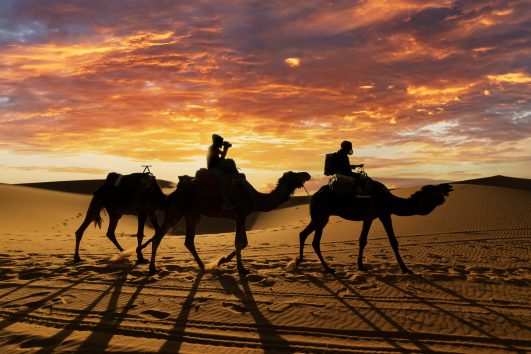 Reach Out Morocco 11 Days 10 Nights
