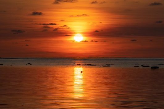 Bintan Living Coast Discovery - 7 Days 6 Nights